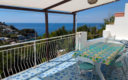 1045appartamento_aria_mare_ponza_01