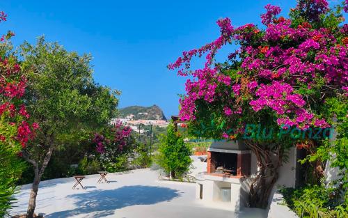 ponza-le-forna-casa-vacanze-villa-cala-feola-24